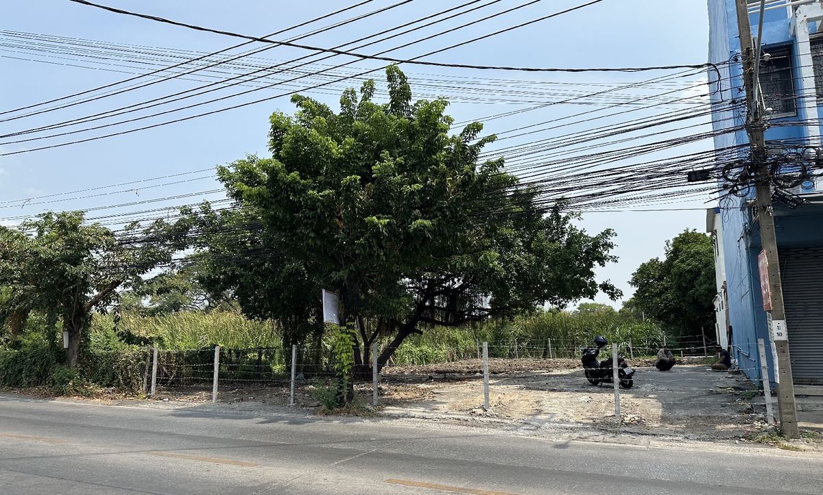 For SaleLandNawamin, Ramindra : 2 plots of land on the road - Khubon 27