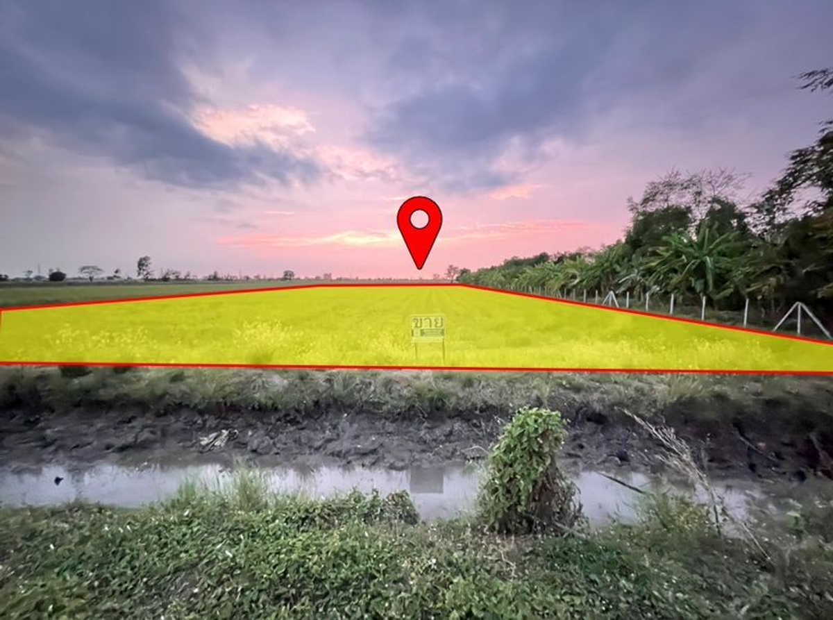 ขายที่ดินสระบุรี : ที่ดินเปล่า 7 ไร่ ที่นา ตำบลบ้านกลับ อำเภอหนองโดน จังหวัดสระบุรี