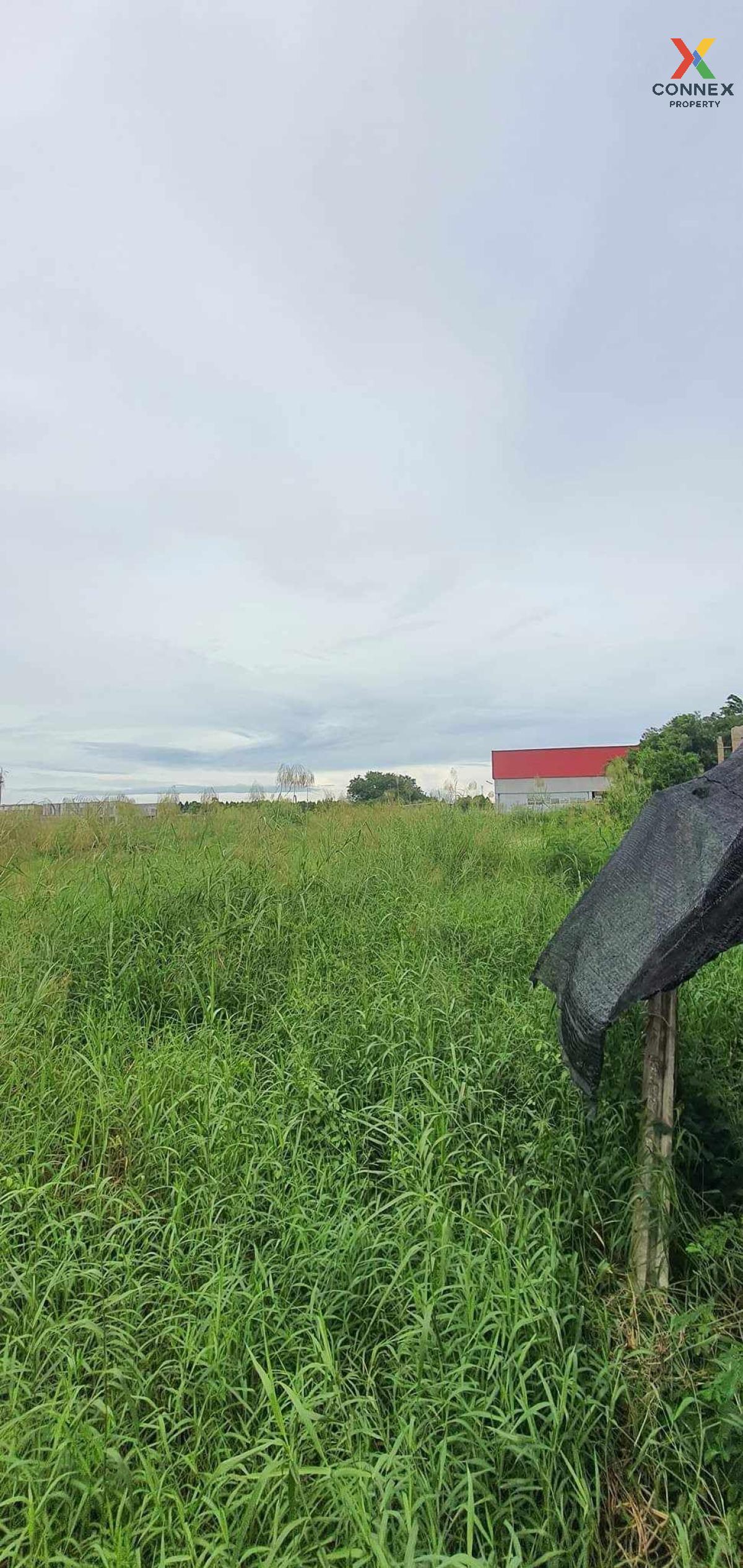 For SaleLandChachoengsao : For Sale Vacant land in front of Thai Watsadu, Siri Sothon Road , Sothon , Mueang Chachoengsao , Chachoengsao , CX-117796