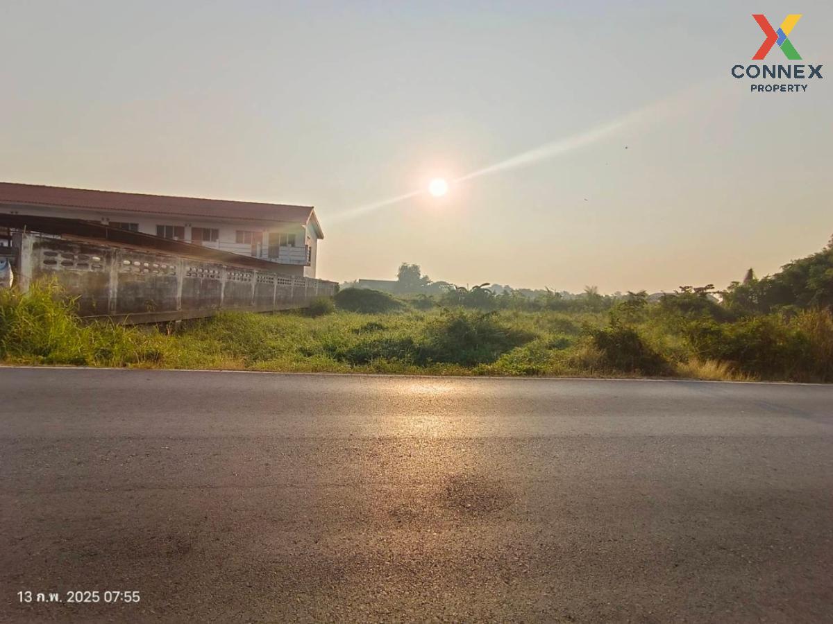 For SaleLandPathum Thani,Rangsit, Thammasat : For Sale Empty land, Lat Lum Kaeo , Rahaeng , Lat Lum Kaeo , Pathum Thani , CX-117563