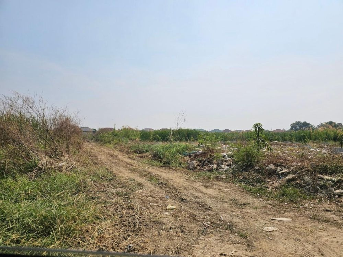 For SaleLandSamut Prakan,Samrong : 100 square meters of land for sale near the community, good location, Bang Kaew Subdistrict, Bang Phli District, Samut Prakan Province