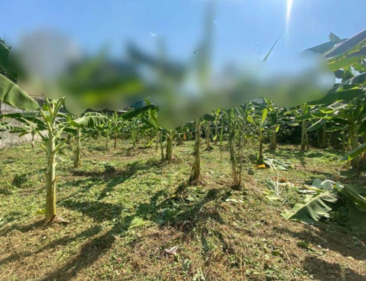 For RentLandSukhumvit, Asoke, Thonglor : Rental land, beautiful plots, 1 rai 3 rai, 75 square wah for 3 years or 3+3 years only, Asoke area, Sukhumvit, near BTS and EMSPHERE, 5 -star hotels, CBD and High Spending Power.