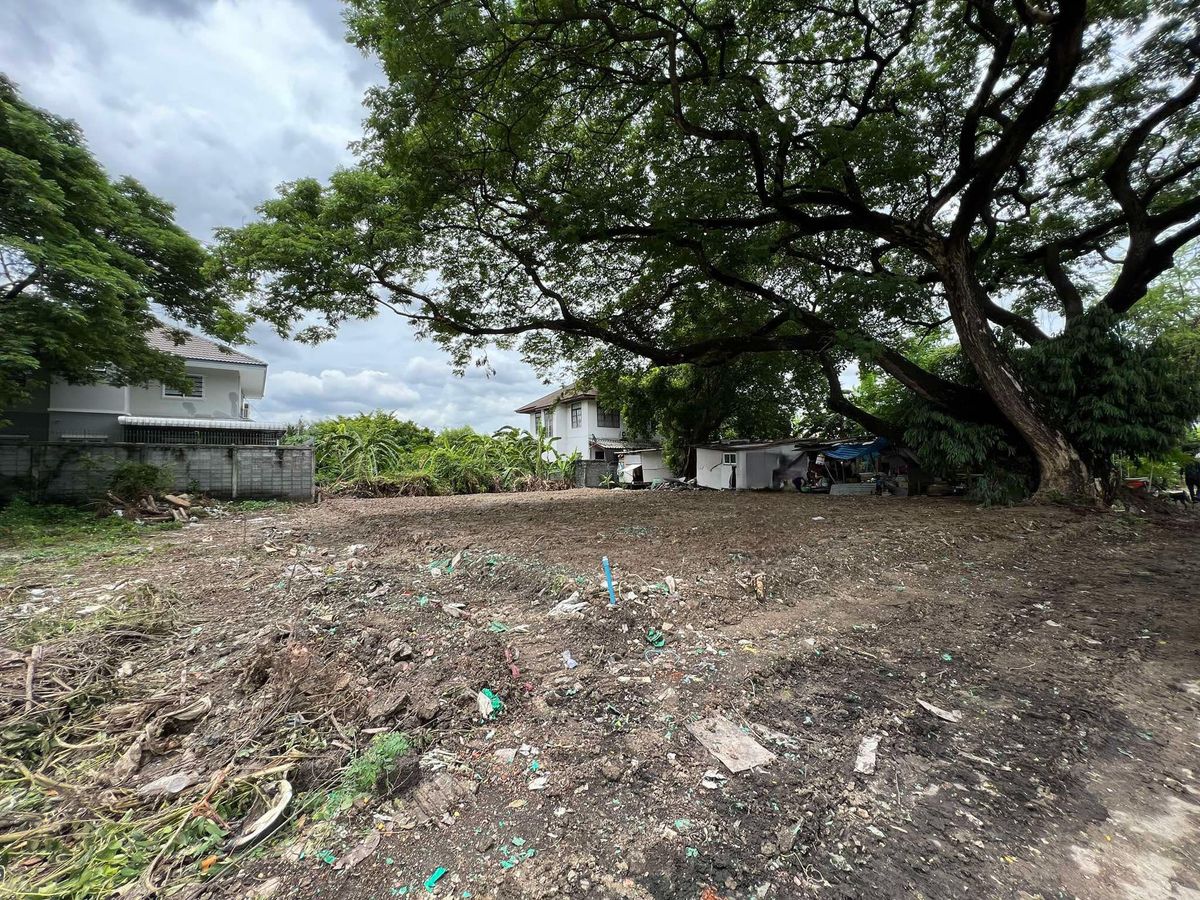 For SaleLandKasetsart, Ratchayothin : Ratchada 36 / (Sell), Land Ratchada 36 / (For Sale) Meaw611