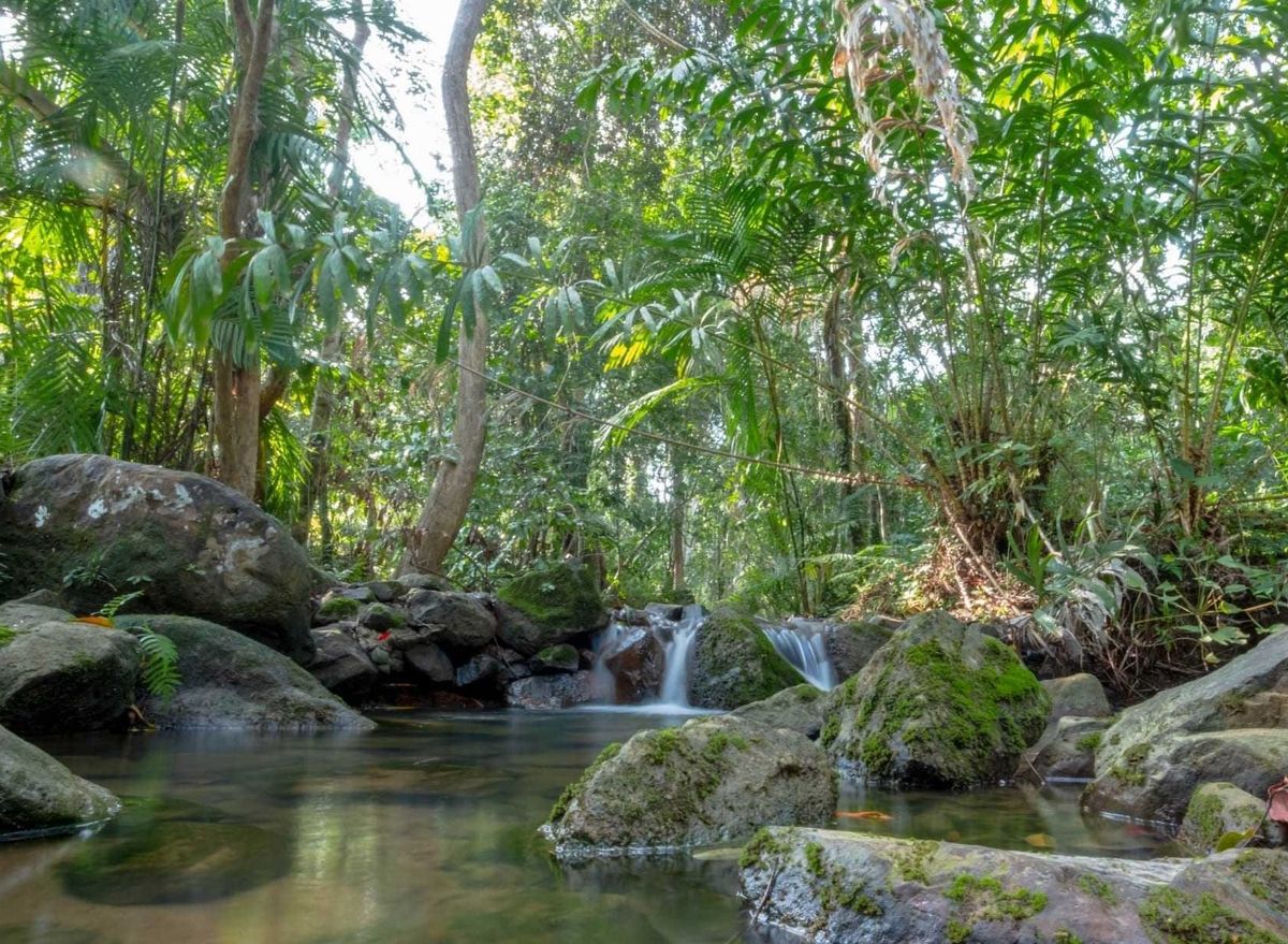 For SaleLandKrabi : Sell ​​white land, white sand, size 15 rai 2 ngan 60 sq.w., near Ao Nang Beach
