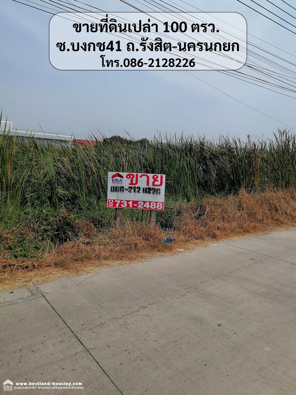 For SaleLandPathum Thani,Rangsit, Thammasat : 100 square meters of land for sale.