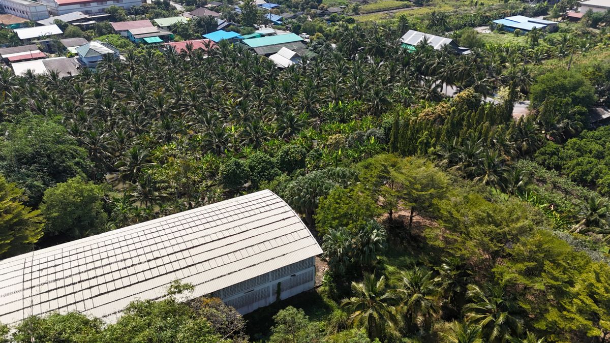 ขายที่ดินนครปฐม : ขายที่ดินพร้อมสิ่งปลูกสร้าง 7-2-23ไร่ เพียง50นาทีจากกรุงเทพฯ ต.คลองใหม่ อ.สามพราน จ.นครปฐม