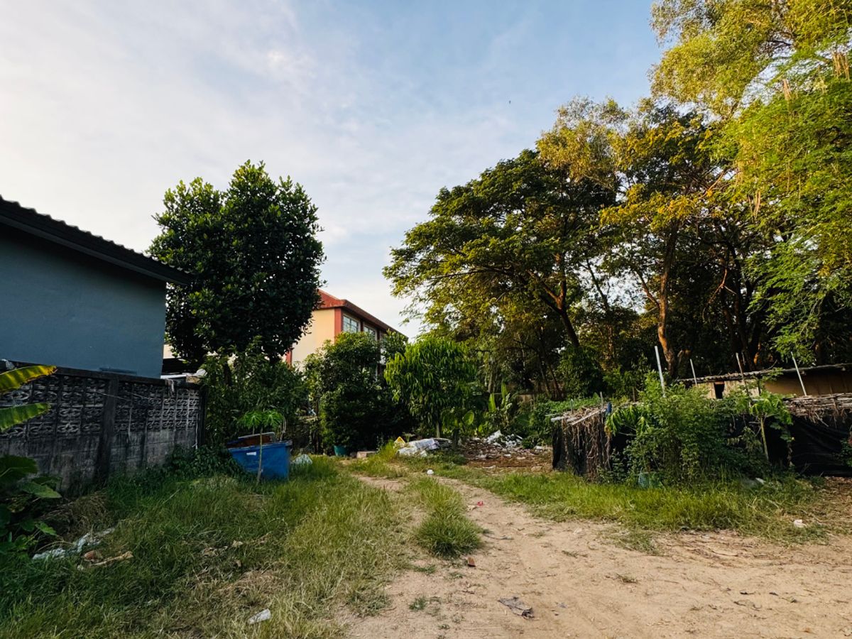 ขายที่ดินหาดใหญ่ สงขลา : ขายที่ดินหาดใหญ่ 101ตารางวา แปลงสี่เหลี่ยนสวย เพียง 3.4ล.บ.