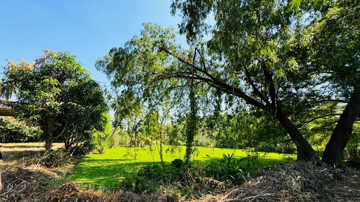 ขายที่ดินนครปฐม : ขายที่ดินพร้อมสิ่งปลูกสร้าง 7-2-23ไร่ เพียง50นาทีจากกรุงเทพฯ ต.คลองใหม่ อ.สามพราน จ.นครปฐม