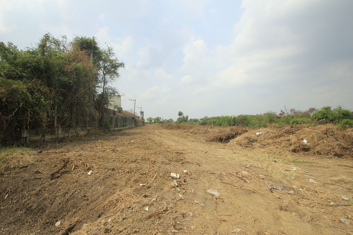 ขายที่ดินนครปฐม : ที่ดินนครปฐมติดถนนมาลัยแมน กำแพงแสน 7-2-56.7 ไร่ ติดถนนทั้งหน้าหลัง ใกล้ทางด่วนกาญจนบุรี - บางใหญ่ มหาวิทยาลัยราชภัฏนครปฐม 32ล้าน  