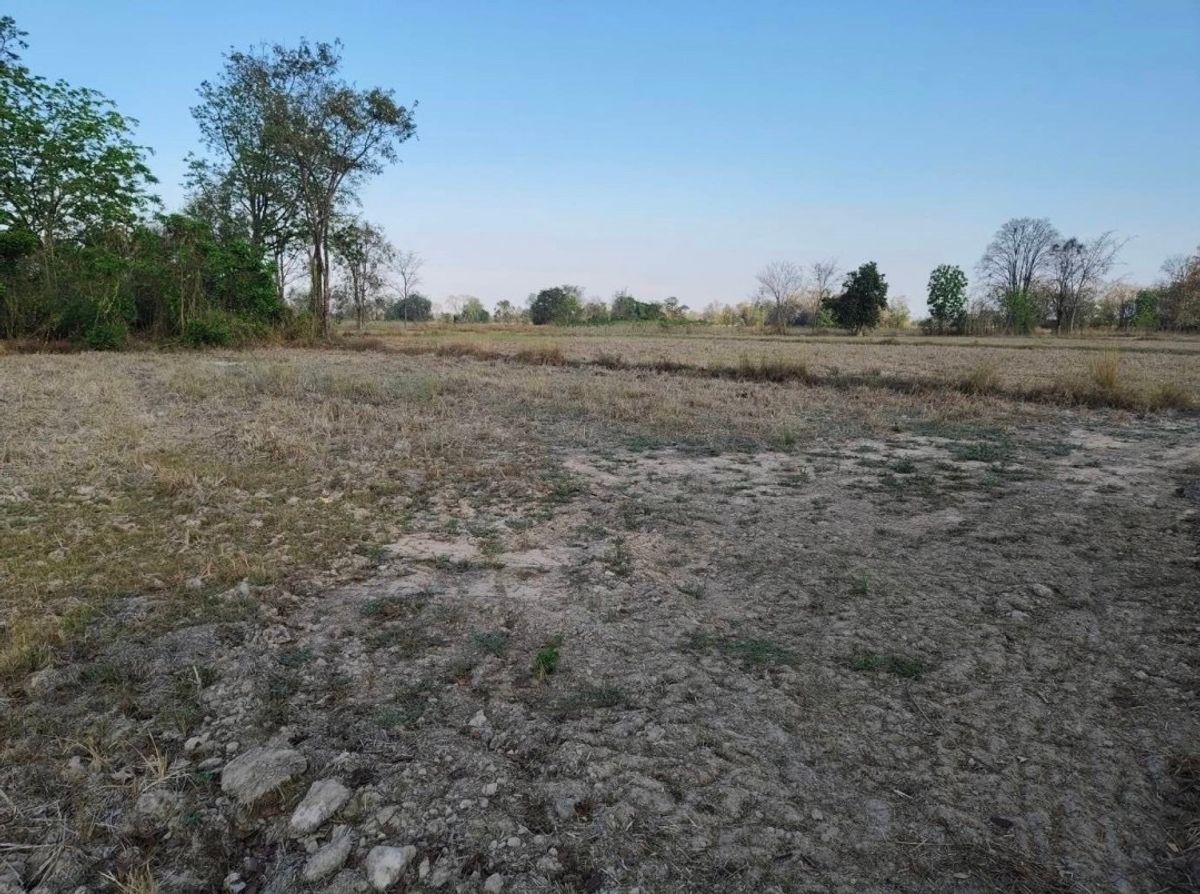 For SaleLandNakhon Sawan : ❤️❤️ Urgent sale, beautiful land, Nakhon Sawan 2, 29 rai, 50 Sq. Interested in Line Tel 0859114585 ❤️