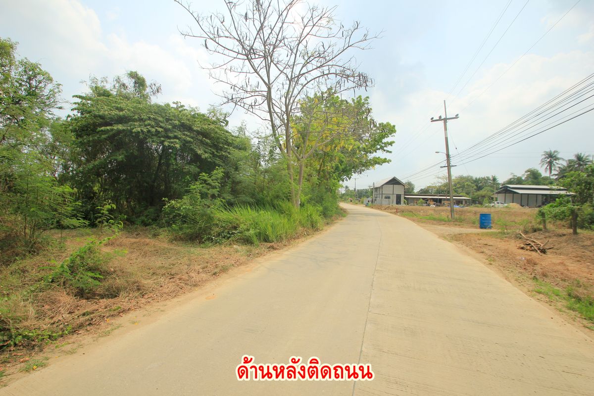 ขายที่ดินนครปฐม : ที่ดินนครปฐมติดถนนมาลัยแมน กำแพงแสน 7-2-56.7 ไร่ ติดถนนทั้งหน้าหลัง ใกล้ทางด่วนกาญจนบุรี - บางใหญ่ มหาวิทยาลัยราชภัฏนครปฐม 32ล้าน  