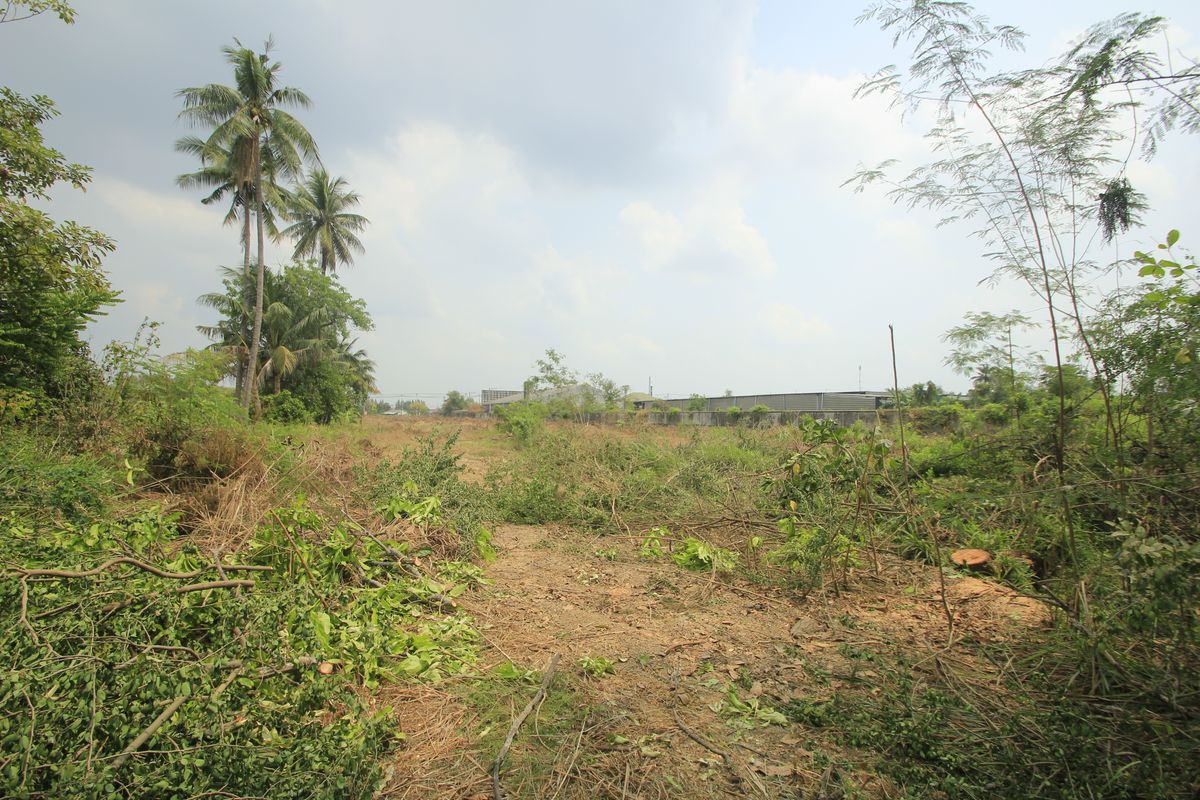 ขายที่ดินนครปฐม : ที่ดินนครปฐมติดถนนมาลัยแมน กำแพงแสน 7-2-56.7 ไร่ ติดถนนทั้งหน้าหลัง ใกล้ทางด่วนกาญจนบุรี - บางใหญ่ มหาวิทยาลัยราชภัฏนครปฐม 32ล้าน  