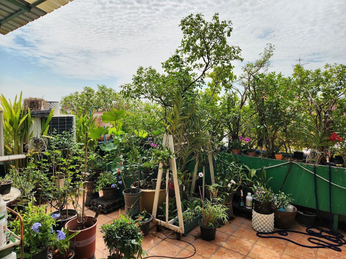 For SaleHome OfficeRatchadapisek, Huaikwang, Suttisan : 🏢Home Office, Lite Golden Ratchadaphisek