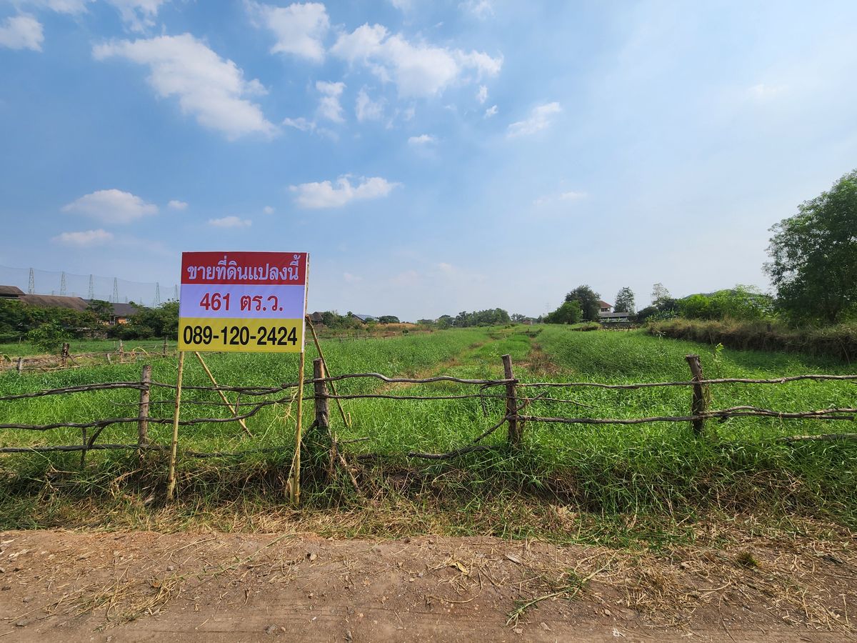ขายที่ดินปทุมธานี รังสิต ธรรมศาสตร์ : ขายที่ดิน 461 ตร.ว. เข้าสะดวกจากถนนใหญ่