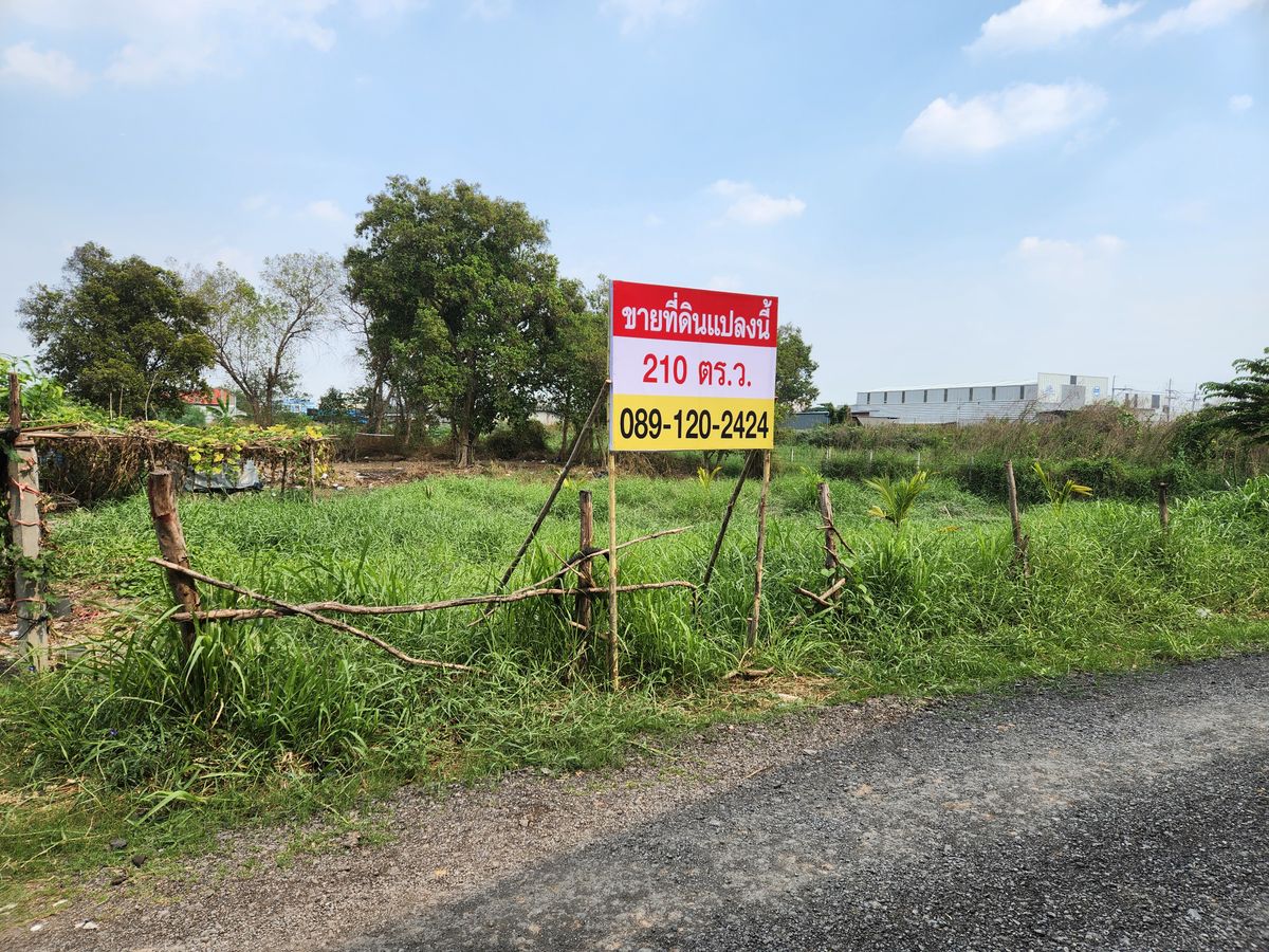 ขายที่ดินปทุมธานี รังสิต ธรรมศาสตร์ : ขายที่ดิน 210 ตร.ว. เข้าสะดวกจากถนนใหญ่