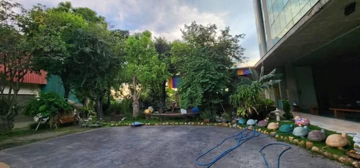 ขายสำนักงานบางแค เพชรเกษม : 🏢✨ขายด่วน สำนักงาน 5ชั้น 1โกดัง บนตึก ปูด้วยไม้มะค่าโมง ทำเลดี พุทธมณฑลสาย 4 เพชรเกษม พร้อมเข้าอยู่