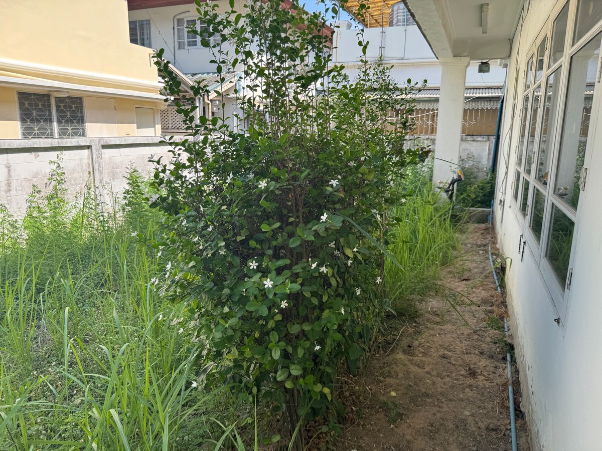 For SaleHouseMin Buri, Romklao : 2 storey detached house for sale, Perfect Place, Ramkhamhaeng 64, big house, beautiful, interested in Atline.@841QLNR