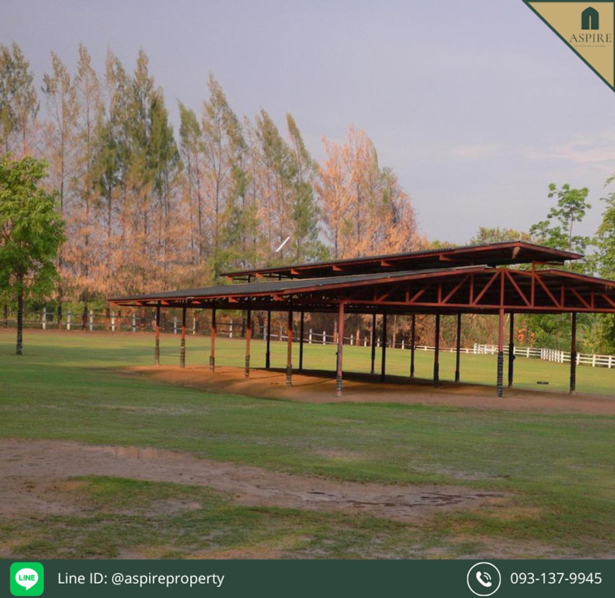 ขายที่ดินโคราช นครราชสีมา : [ขาย] ที่ดิน ที่ นครราชสีมา อำเภอปากช่อง