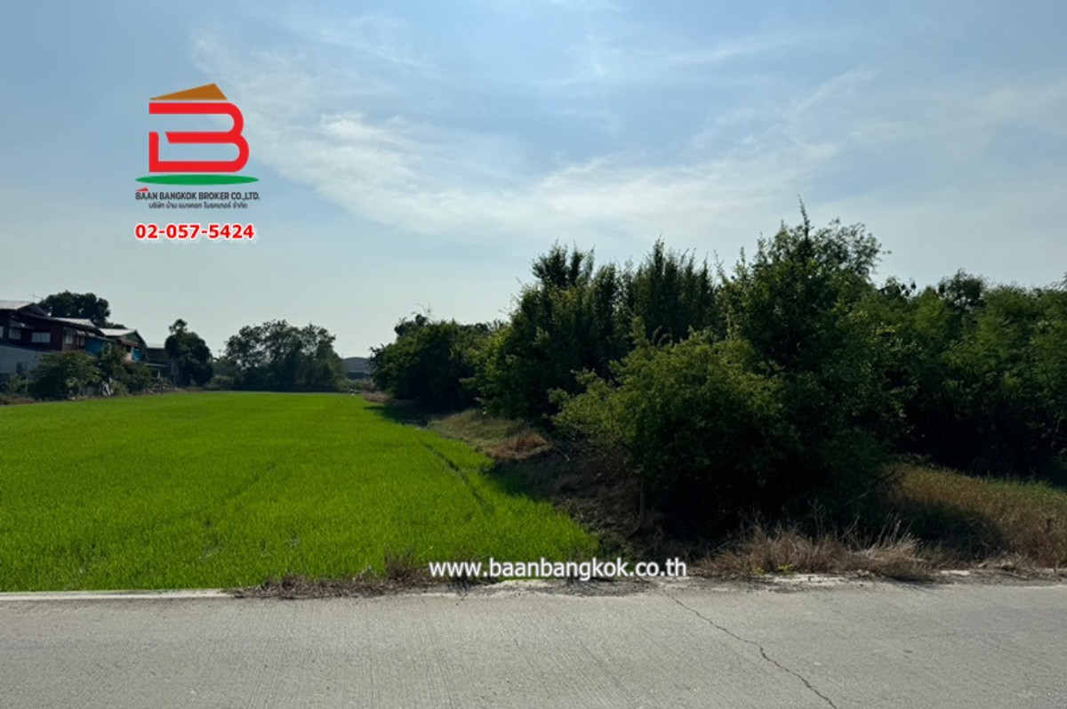 For SaleLandPathum Thani,Rangsit, Thammasat : Empty Land Soi Municipality 1, area of ​​2-1-86 rai, Bang Pho Nuea Subdistrict, Sam Khok District, Pathum Thani Province