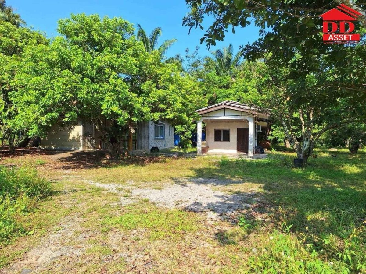For SaleLandChumphon : Land for sale with Baan Tako, Thung Tako, Chumphon, near Mr. Dam, beautiful plot of land on the road. Code: L8040