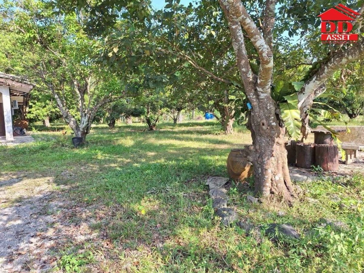 ขายที่ดินชุมพร : ขายที่ดินพร้อมบ้าน ตำบลตะโก ทุ่งตะโก ชุมพร ใกล้สวนนายดำที่ดินแปลงสวย ติดถนน รหัส : L8040