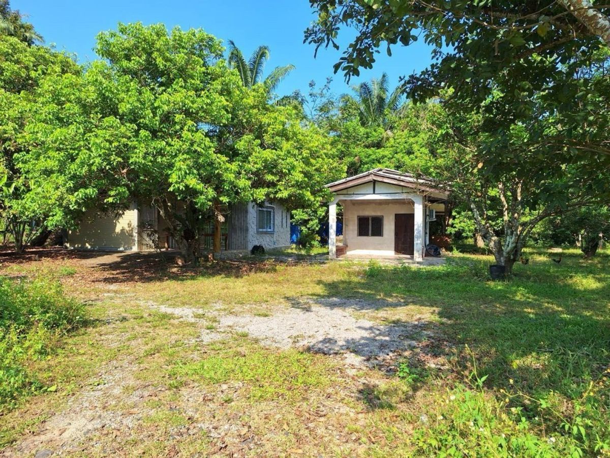 ขายที่ดินชุมพร : ขายที่ดินพร้อมบ้าน ตำบลตะโก ทุ่งตะโก ชุมพร ใกล้สวนนายดำที่ดินแปลงสวย ติดถนน รหัส : L8040