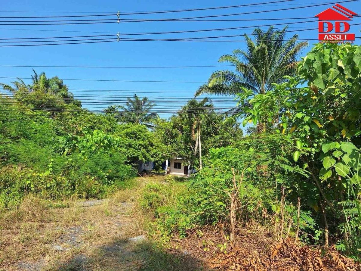 ขายที่ดินชุมพร : ขายที่ดินพร้อมบ้าน ตำบลตะโก ทุ่งตะโก ชุมพร ใกล้สวนนายดำที่ดินแปลงสวย ติดถนน รหัส : L8040