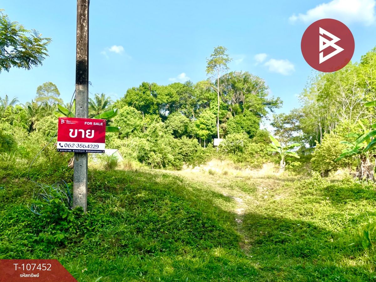 For SaleLandKrabi : Land for sale in an area of ​​2 rai 9 sq.w. Krabi Noi Krabi