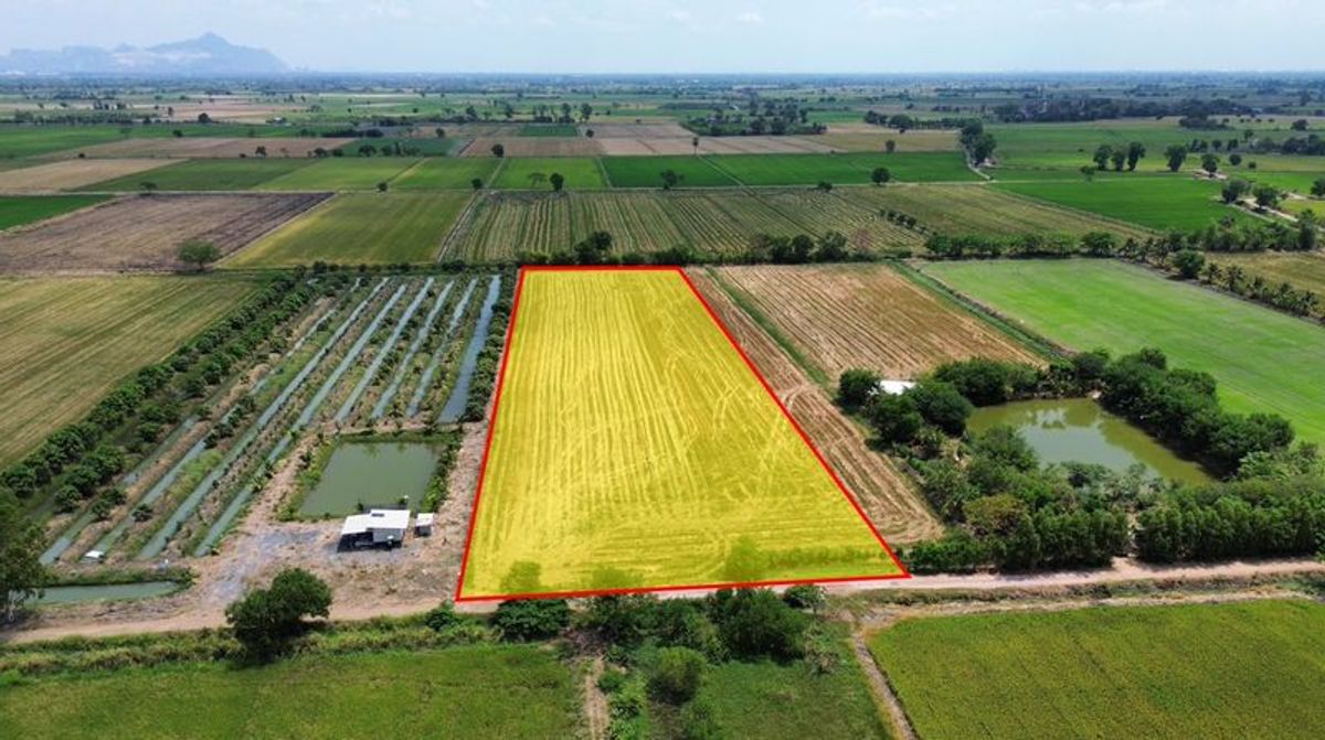 For SaleLandSaraburi : 7 rai of land at Ban Return Subdistrict, Nong Don District, Saraburi Province