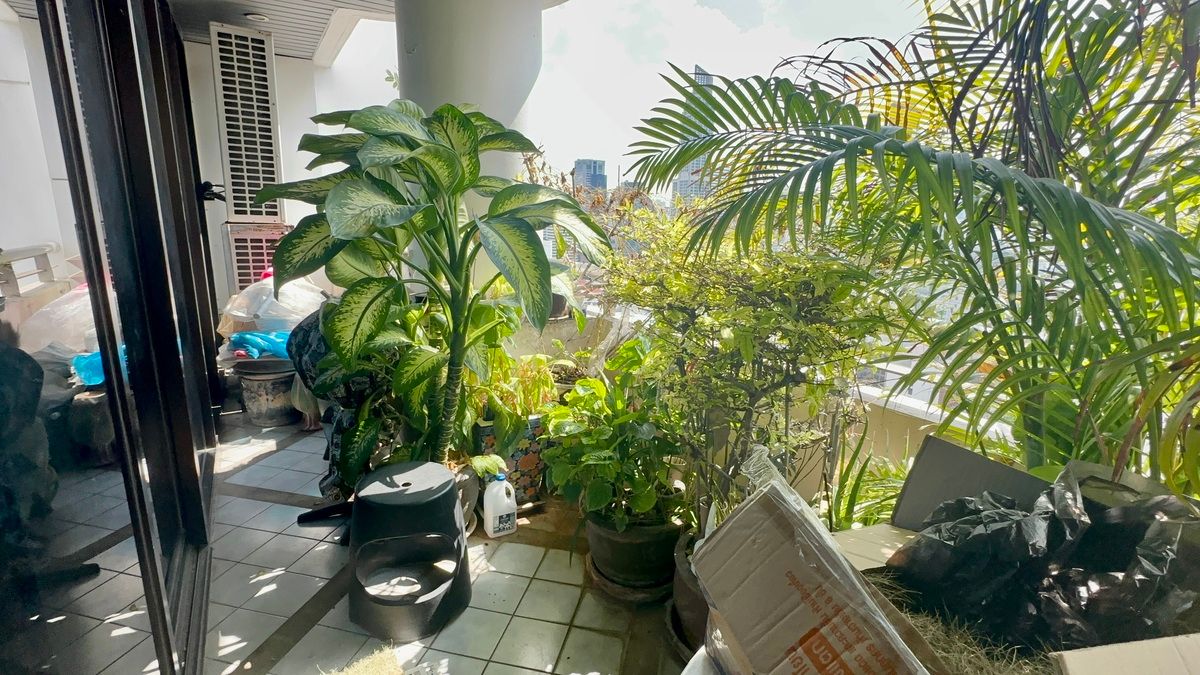 For SaleCondoNana, North Nana,Sukhumvit13, Soi Nana : For Sale Condo Kallista Manations Large Room with Balcony (S03-1995)