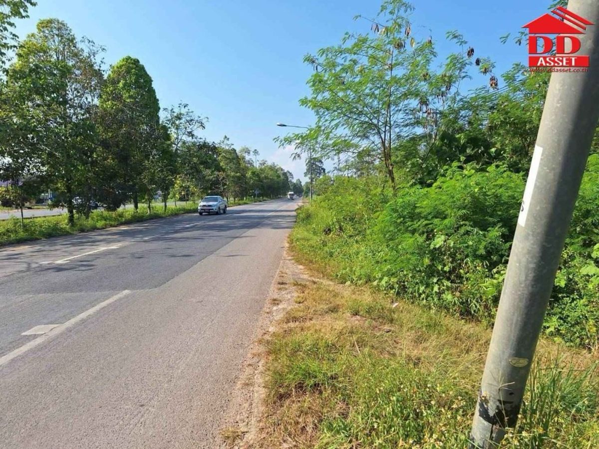 ขายที่ดินชุมพร : ขายที่ดินพร้อมบ้าน ตำบลตะโก ทุ่งตะโก ชุมพร ใกล้สวนนายดำที่ดินแปลงสวย ติดถนน รหัส : L8040