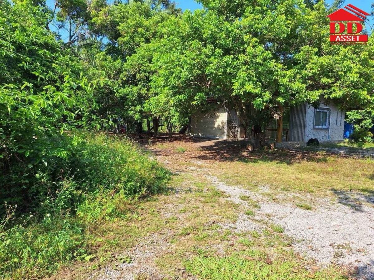 ขายที่ดินชุมพร : ขายที่ดินพร้อมบ้าน ตำบลตะโก ทุ่งตะโก ชุมพร ใกล้สวนนายดำที่ดินแปลงสวย ติดถนน รหัส : L8040