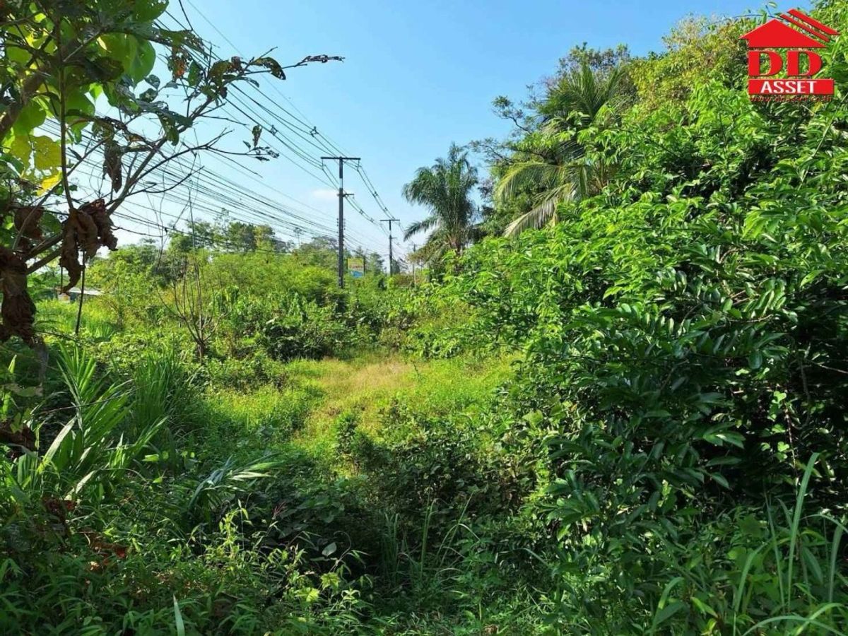 ขายที่ดินชุมพร : ขายที่ดินพร้อมบ้าน ตำบลตะโก ทุ่งตะโก ชุมพร ใกล้สวนนายดำที่ดินแปลงสวย ติดถนน รหัส : L8040