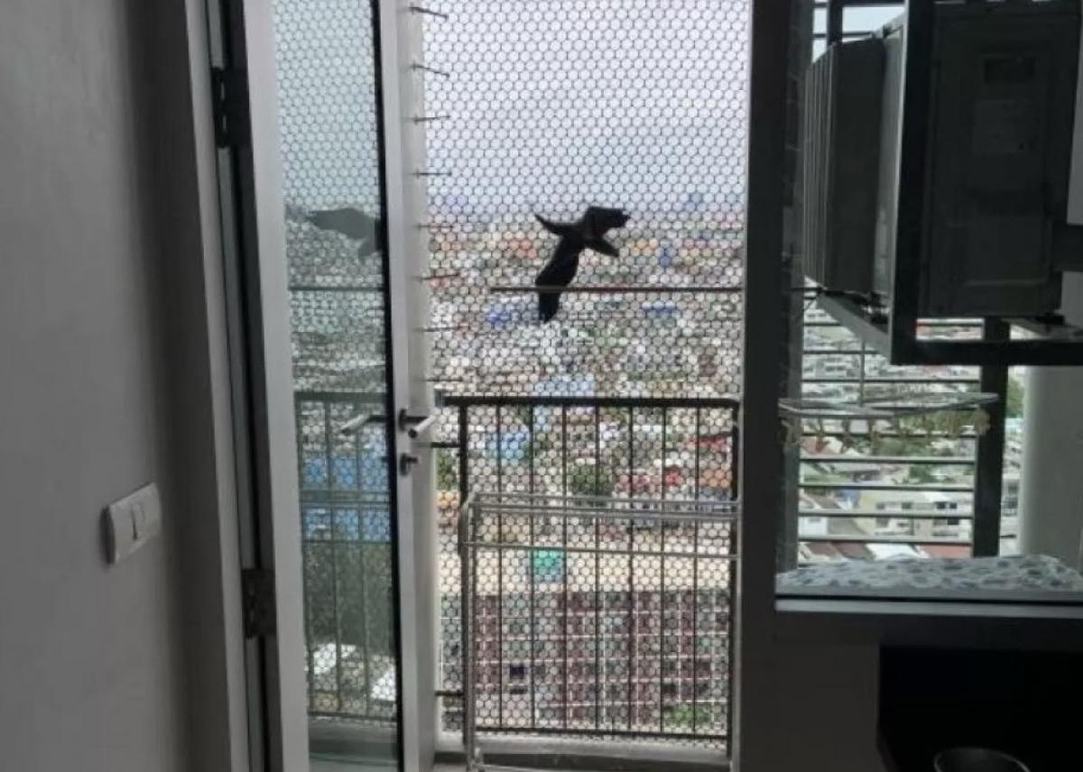 For SaleCondoWongwianyai, Charoennakor : ⭐️ (A0176) For Sale 🏢 Hive Taksin Price 4.2 MB