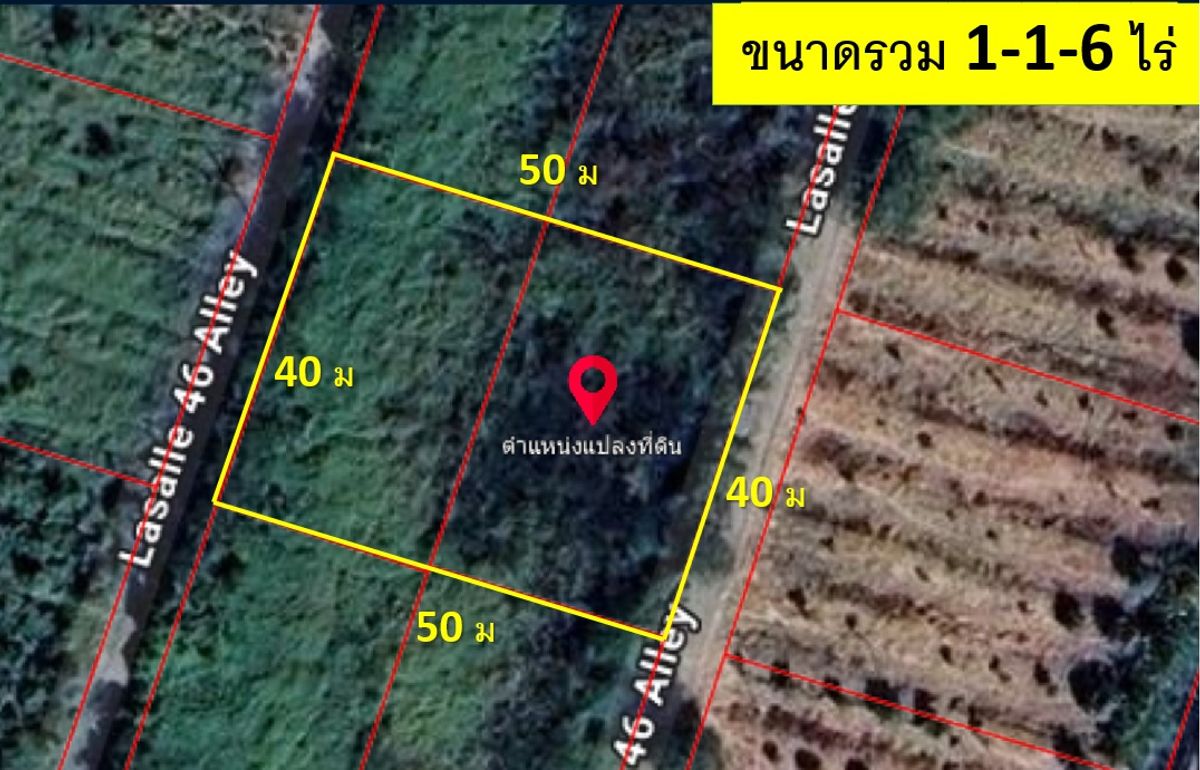 For SaleLandBangna, Bearing, Lasalle : Beautiful square land 42