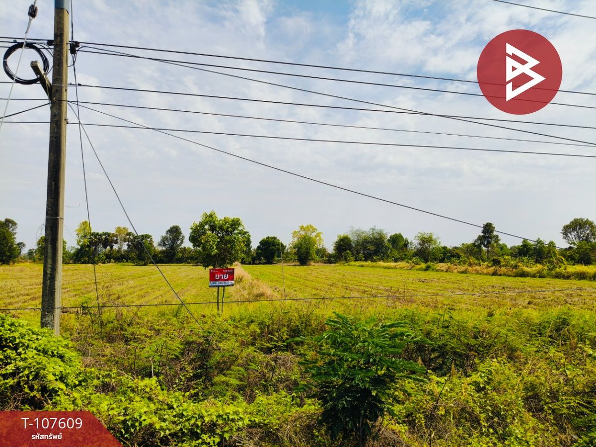 ขายที่ดินบุรีรัมย์ : ขายที่ดินเปล่า เนื้อที่ 5 ไร่ ประโคนชัย บุรีรัมย์