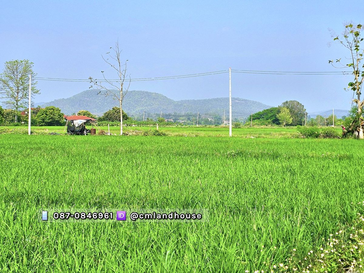 For SaleLandChiang Mai : Beautiful land, cheap, 850,000 per rai.