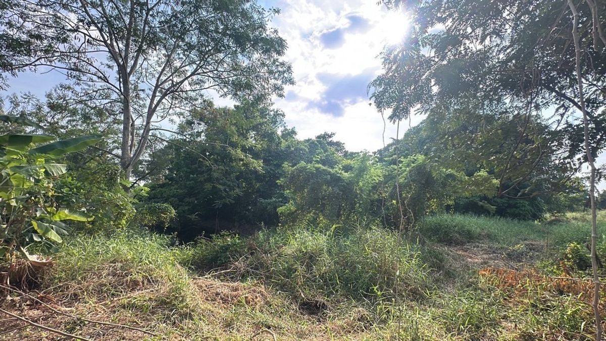LandNawamin, Ramindra : Beautiful land for sale in the heart of Bang Khen Suitable for building a house