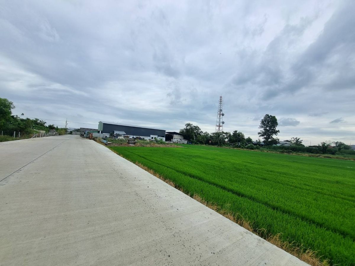 For SaleLandChachoengsao : 10 rai of land for sale. Purple plan, EEC District, Muang Chachoengsao District, can build all types of factories.