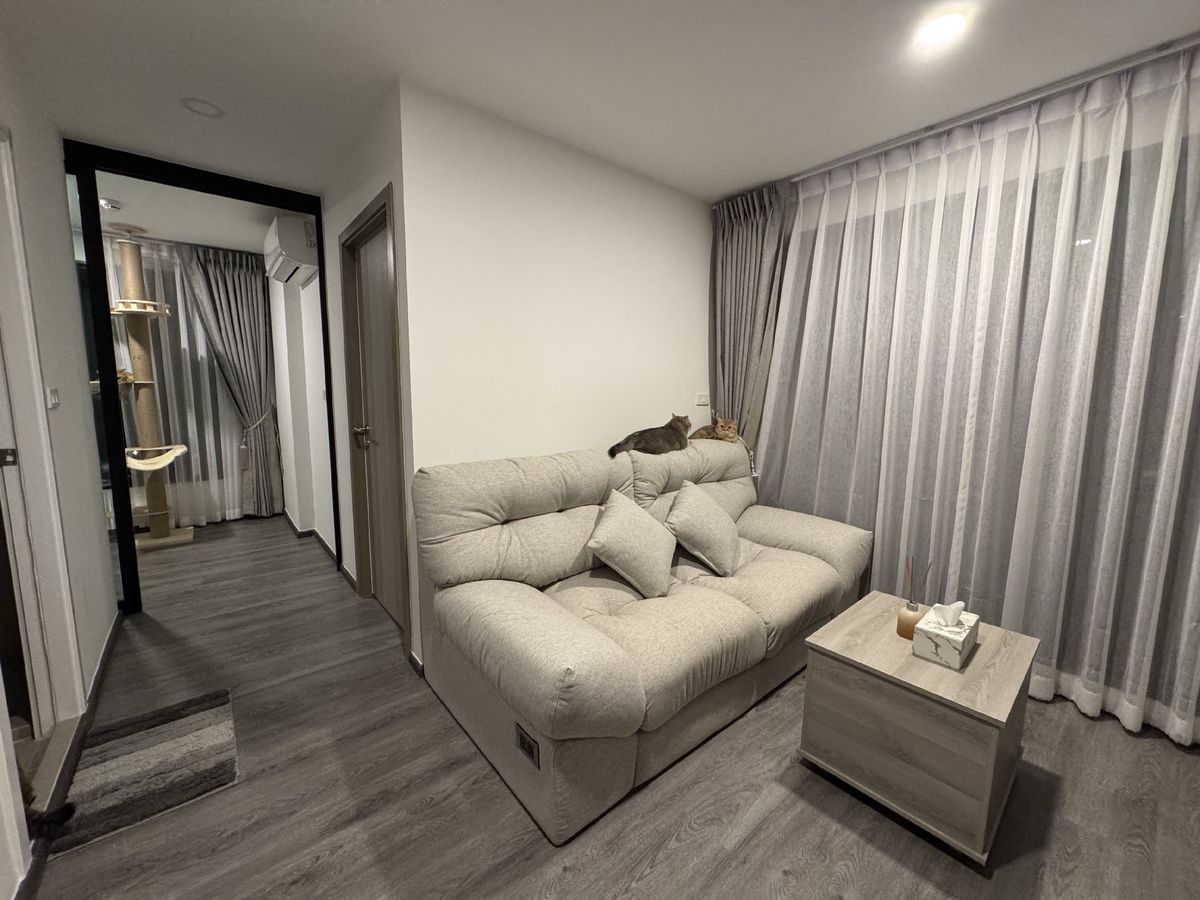 ให้เช่าคอนโดวิภาวดี ดอนเมือง หลักสี่ : ให้เช่า Brixton Pet&Play Pahol 50 เลี้ยงสัตว์ได้ ห้องใหญ่สุด ห้องมุม ชั้นสูง ใกล้ BTS สายสีเขียว สถานีสายหยุด 300 เมตร ห้องใหม่แกะกล่อง ไม่เคยปล่อยเช่า