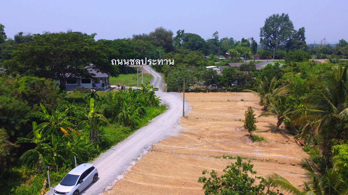 For SaleLandChiang Mai : Saraphi Land #Chiang Mai 60 Sq. (299,000 baht)