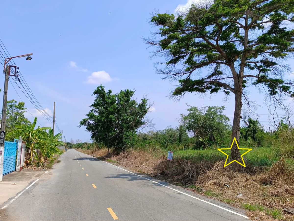 For SaleLandPathum Thani,Rangsit, Thammasat : Selling cheap land 400 square meters, Soi Bueng Bon 3, Rangsit-Khlong 8, Nong Suea, Pathum Thani