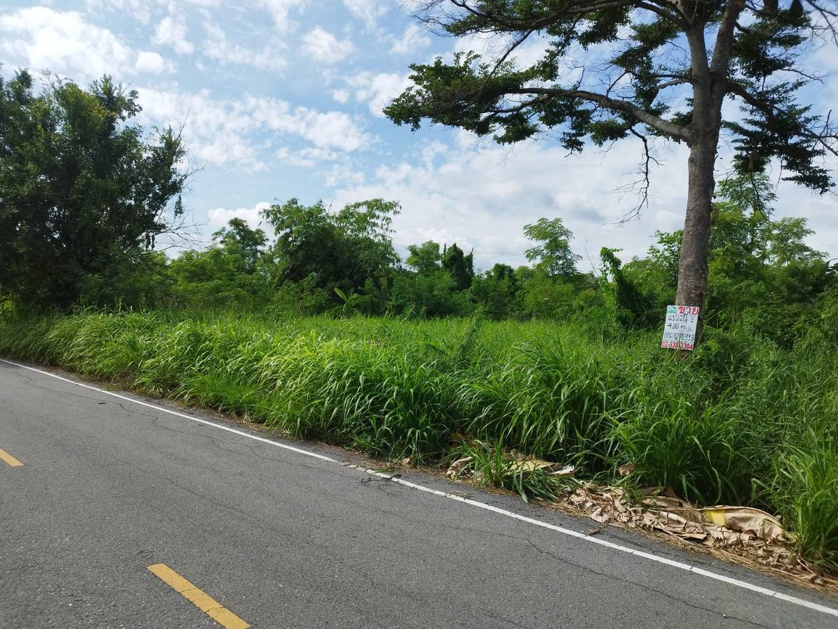 ขายที่ดินปทุมธานี รังสิต ธรรมศาสตร์ : ขายที่ดิน ราคาประเมิน 400 ตรว ซ.บึงบอน3 รังสิต-คลอง8 หนองเสือ ปทุมธานี