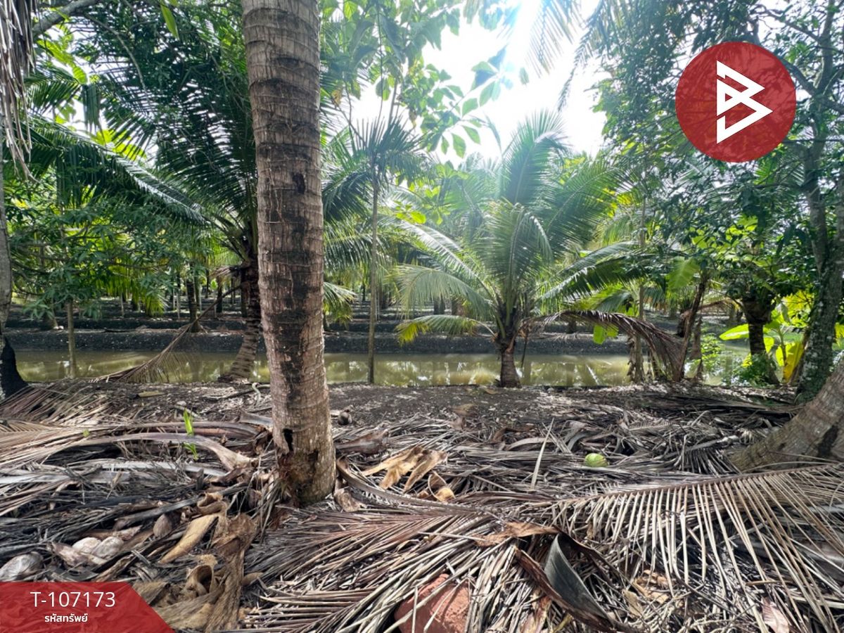 For SaleLandRatchaburi : Land for sale, area of ​​2 rai 3 ngan 49.5 sq.wakhi, Ratchaburi