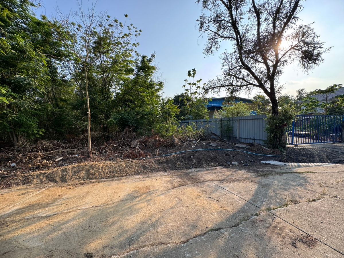 ขายที่ดินมีนบุรี-ร่มเกล้า : ขายที่ดินเปล่าซอยสุวินทวงศ์51 ถูกที่สุดในโครงการ โครงการรมณีย์ (N.1610)