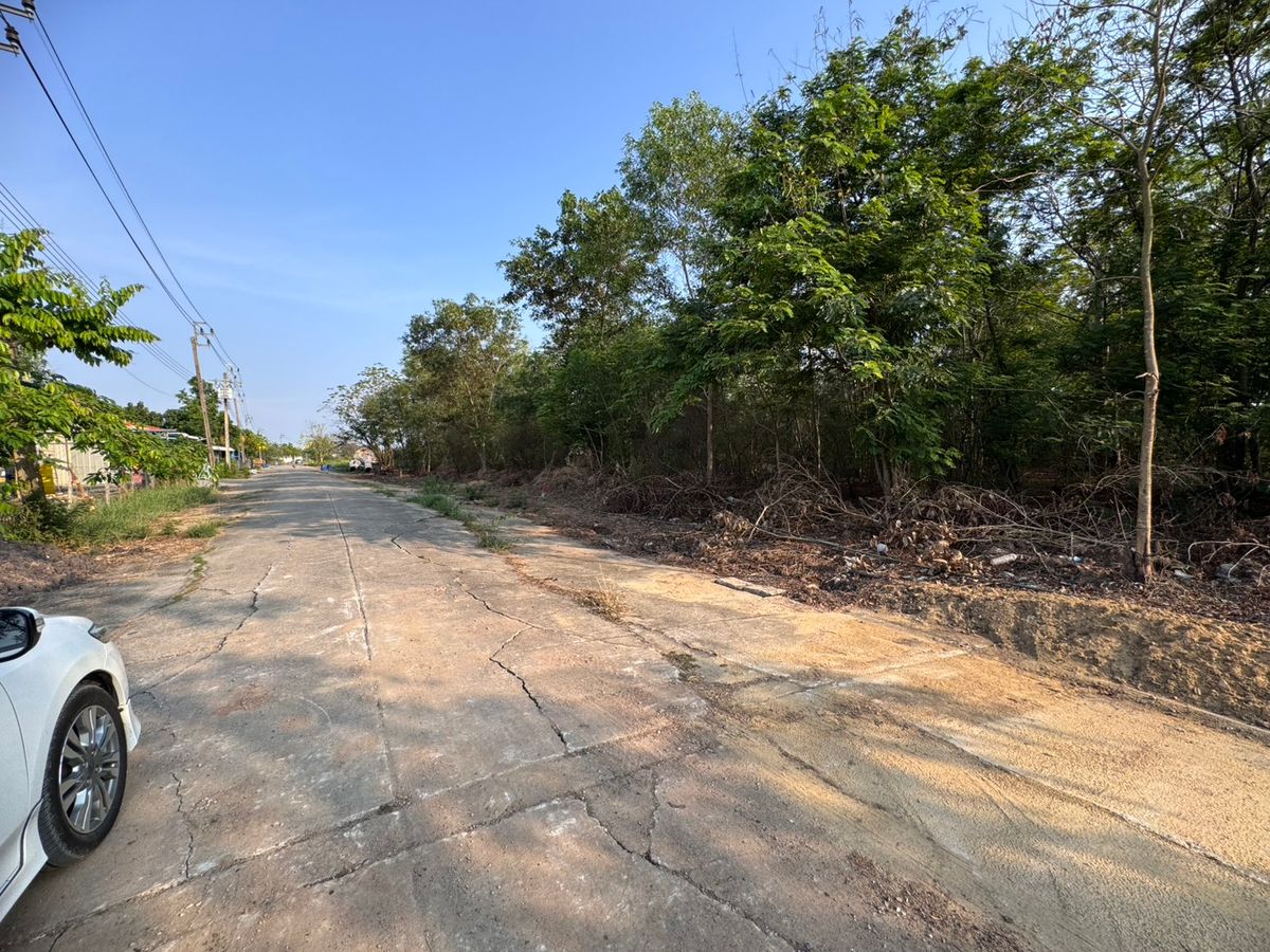 ขายที่ดินมีนบุรี-ร่มเกล้า : ขายที่ดินเปล่าซอยสุวินทวงศ์51 ถูกที่สุดในโครงการ โครงการรมณีย์ (N.1610)