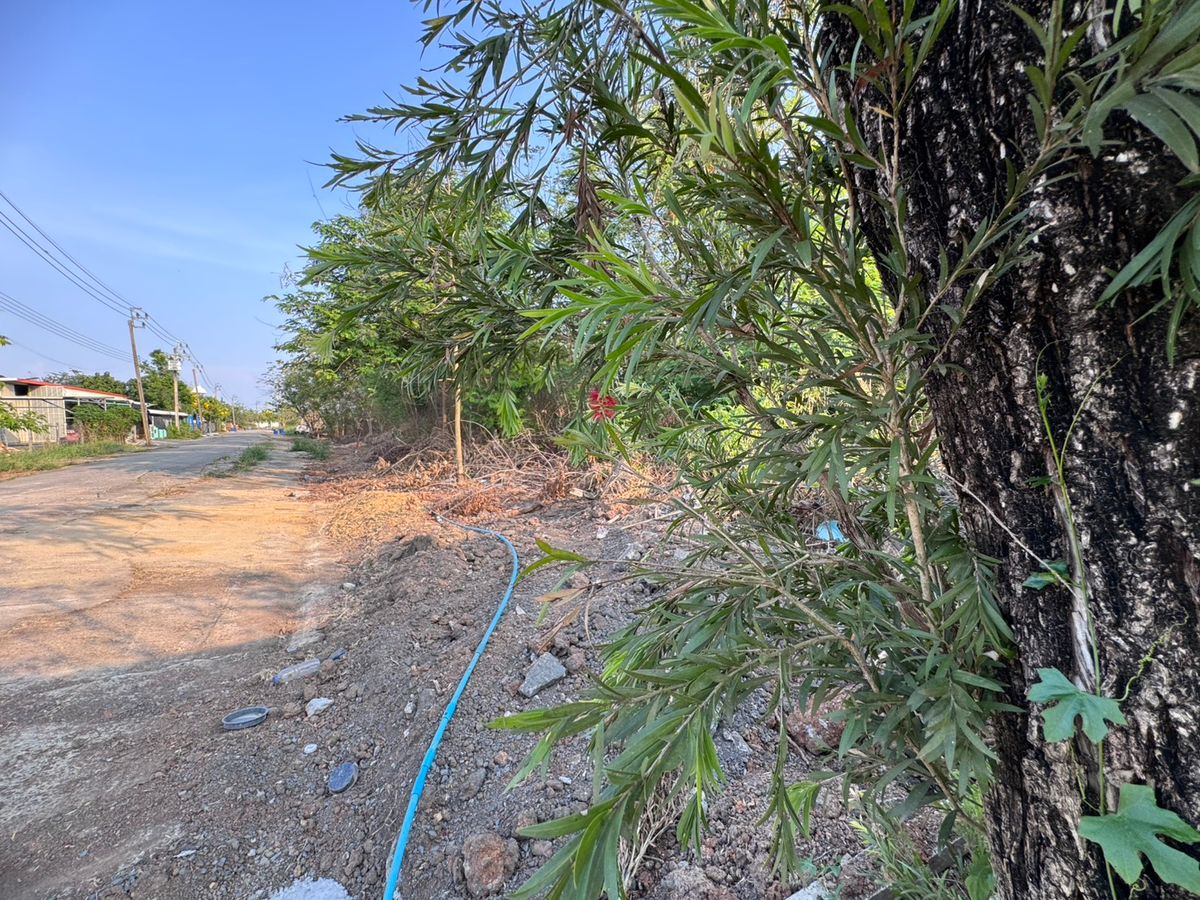 ขายที่ดินมีนบุรี-ร่มเกล้า : ขายที่ดินเปล่าซอยสุวินทวงศ์51 ถูกที่สุดในโครงการ โครงการรมณีย์ (N.1610)