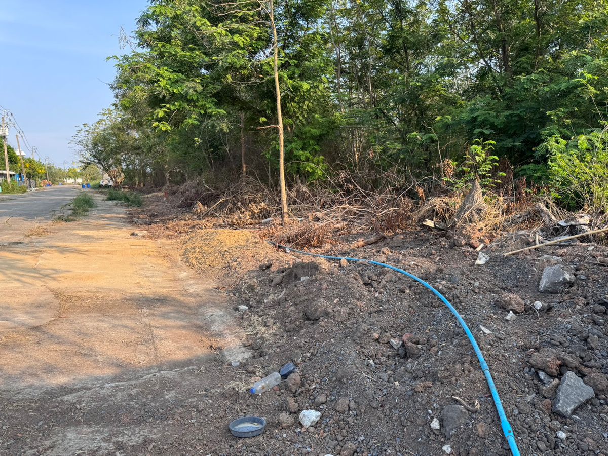 ขายที่ดินมีนบุรี-ร่มเกล้า : ขายที่ดินเปล่าซอยสุวินทวงศ์51 ถูกที่สุดในโครงการ โครงการรมณีย์ (N.1610)