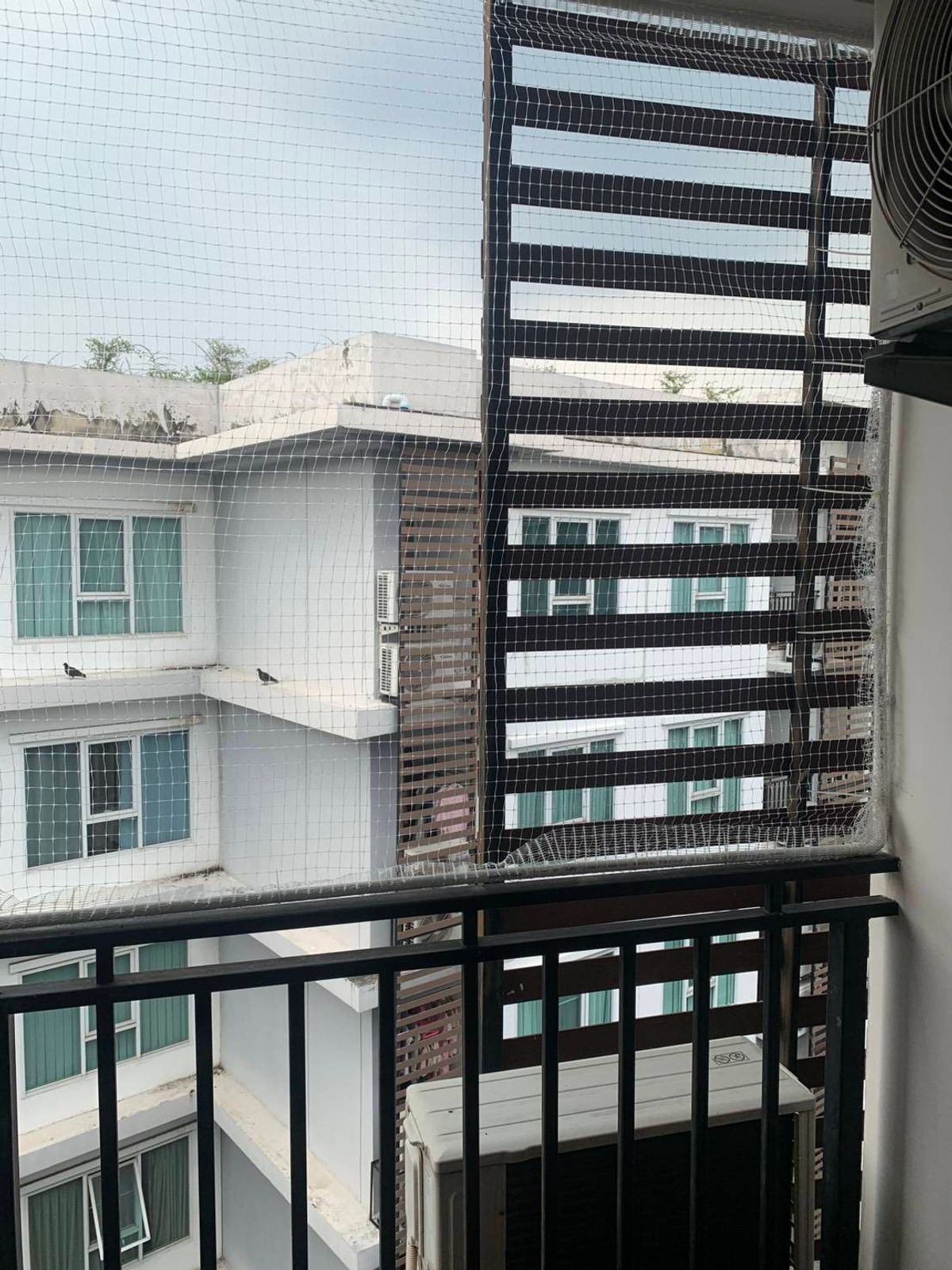 ขายคอนโดพระราม 5 ราชพฤกษ์ บางกรวย : ขายคอนโดรีเจ้นท์โฮมเฟส 25 ติวานนท์ ห้อง 31.42 ตรม. ตึก D ชั้น 8 วิวรถไฟฟ้า ห้องสวยมาก เฟอร์และเครื่องใช้ไฟฟ้าครบ ขาย 1.50 ล้านบาท 