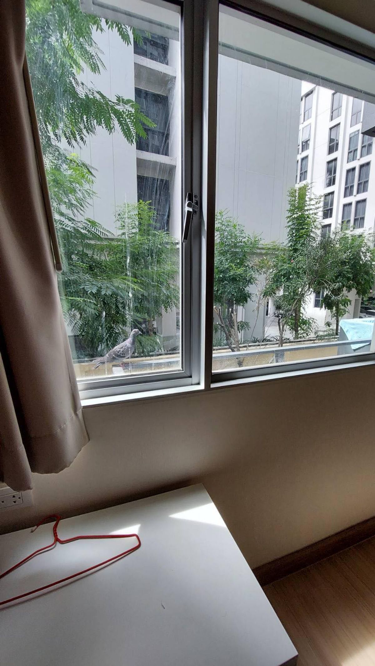 For SaleCondoOnnut, Udomsuk : Condo for sale, My Condo Sukhumvit 81, near BTS Onnut (300 m/4 minutes). Interested in negotiating @condobkk (with @) Code H32927